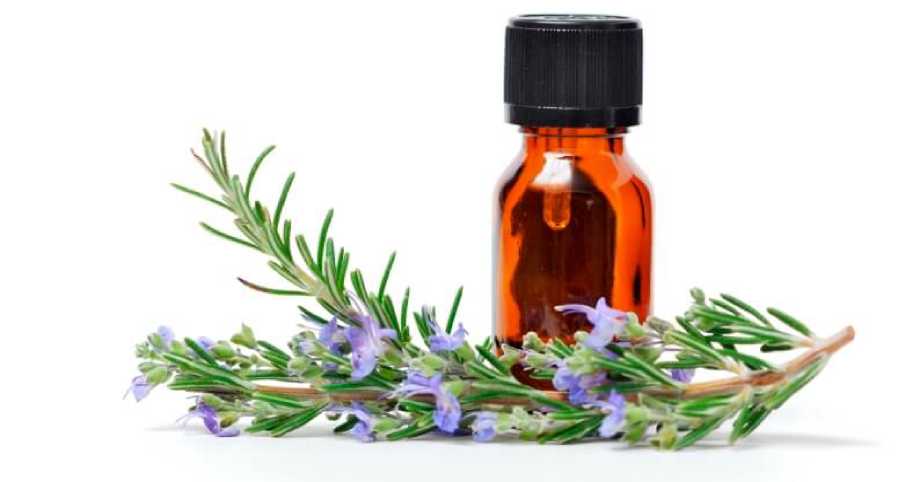 Rosemary Oil