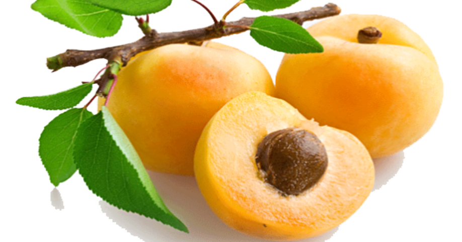 Apricot Oil